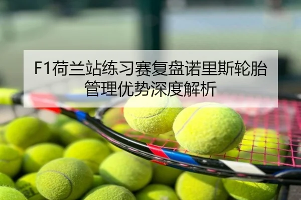 F1荷兰站练习赛复盘诺里斯轮胎管理优势深度解析